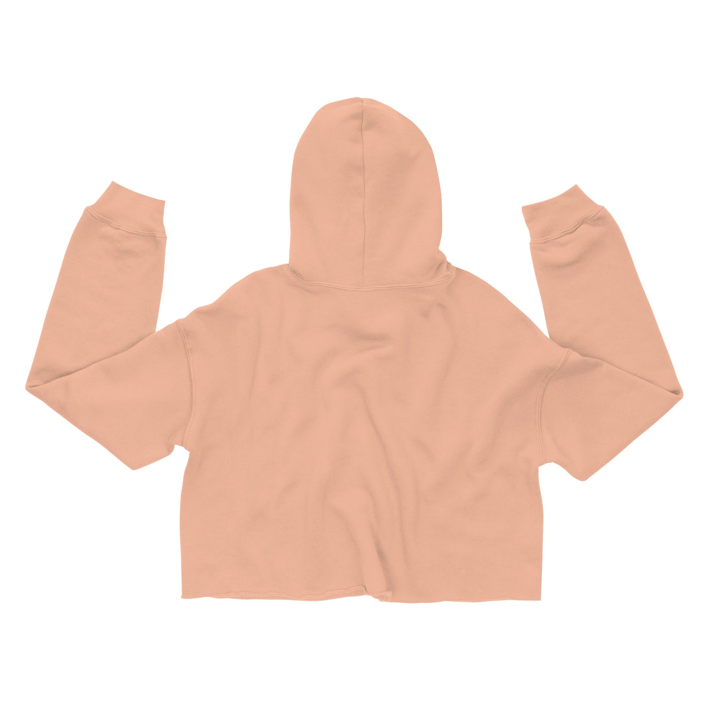 Crop Hoodie